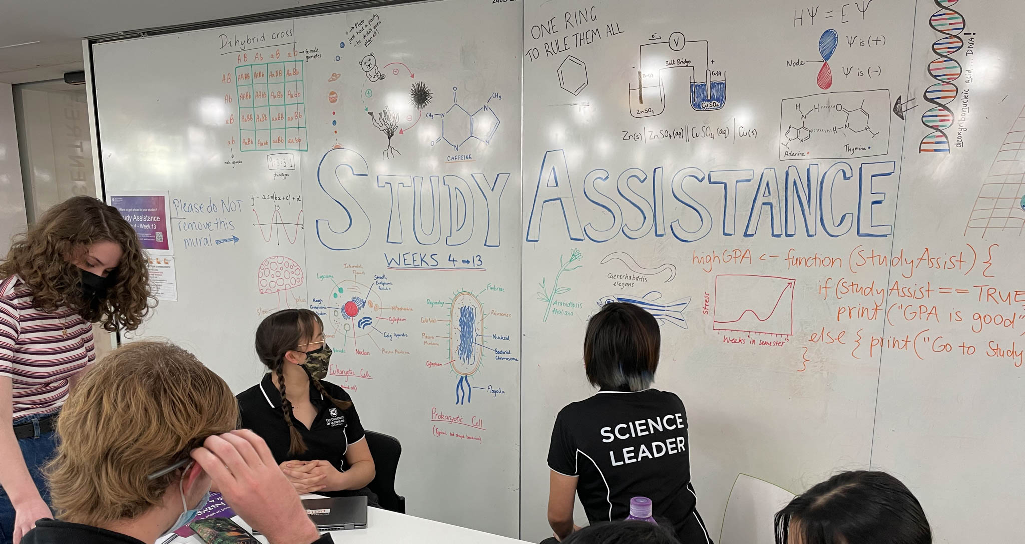 Study assistance Science planners University of Queensland